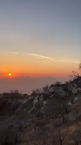 #bakur #kurdistan #foru #bradost 