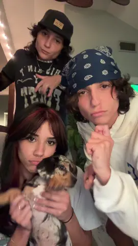 Not even in slow motion i know the lyrics @Ameliaaa @Dani 