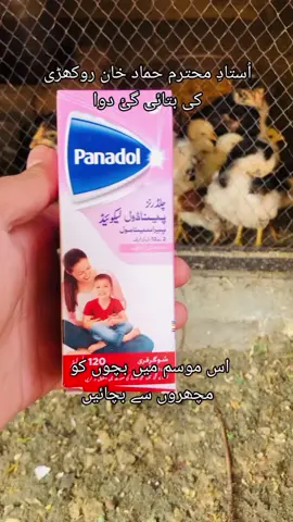 #foryou #aseel #asimaseelmianwali #306aseelmianwali #aseellovers #tranding #viralvideo #oldbloodline 