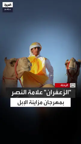 برش الزعفران وترديد كلمة 