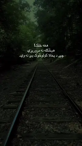 #افغانستان🇦🇫 #پښتون_تاجیک_هزاره_ازبک_زنده_باد🇦🇫 #ویرل #فاریو #لیکوال #foryoupage 