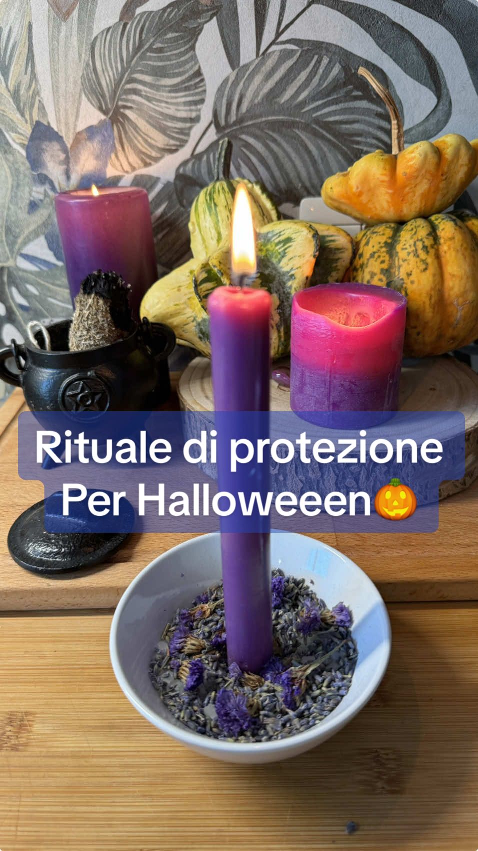 Rituale di protezione per halloween ✨🎃  Proteggi casa tua da entita e negativita in questo periodo dive i nostri mondi si avvicinano ✨  #witchcraft #ritualesmagicos #ritualedihalloween #incantesimo #ritualediprotezione 