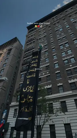 Mere dil ki aas barhata hai 😭♥️🕊 #shia #alameabbas #molaabbas #alamdar #yaghazi #whatsappstatus #trending #thatshiaboy #fyp #viral 