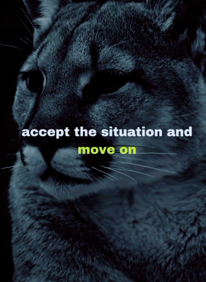 motivation quote #quotes #wisdom #motivacionalvideo #god 