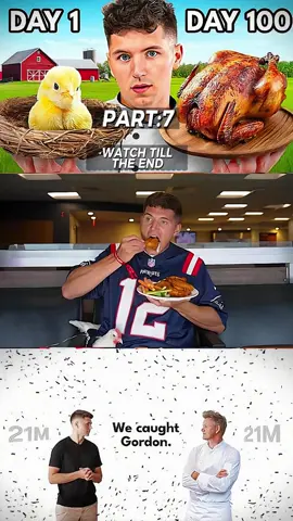 A Chicken's Guide to Football 🏈🐔 #ChickenFootball #FootballFun #CluckingGoodTime #ChickenPOV #FowlPlay #FunnyAnimal