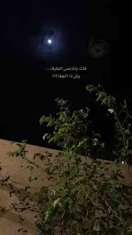 ياناعــس الـطـــرف  وش ذا الــجــفآ ؟ #فلاح_المسردي  #اكسبلور #explore #ترند #تصميمي 