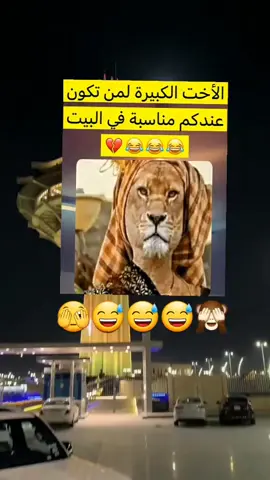 #🤣🤣🤦🤦🤦🤦😅😅😹😜 #🤣🤣🤦🤦🤦🤦😅😅😹😜 #💚💚💚💚💚🇸🇦🇸🇦🇸🇦🇸🇦🇸🇦🇸🇦🇸🇦🇸🇦💔💚💚💚💚💚💚💚💚💚💚💚🌹🌹 