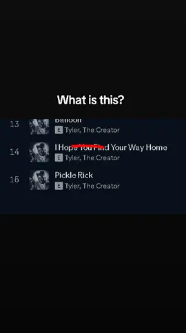 chromakopia green uh like pickle Rick chromakopia I got a cold im pretty sick 🔥🔥🔥🔥🔥🔥🔥