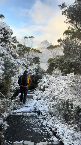 📍 Cradle Mountain, TAS  • #exploreaustralia #tasmania #fyp #travellingaus #camping #explore #snow #mountain #hike 