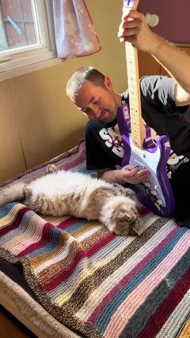 Catberries 😻 #emty #thecranberries #noizemc  #rock #music #riff #song #cat #guitar #france #rockandroll #musician #catstiktok  #rockmusic #guitarists #cats #catlover #catlife #hardrock #pop #metalhead #kramer #cover #lechat  #tiktokcat #catlovers #katze #gatos #meow