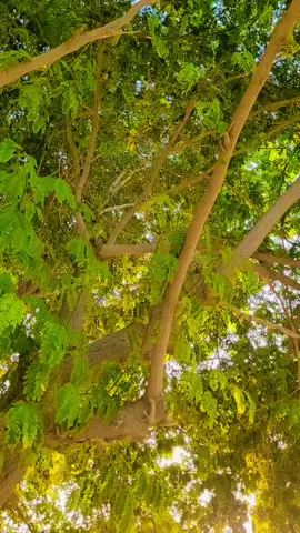 #wather #foryoupage #viraltiktok #beautifulview #outing #100kviews #friends 