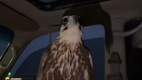 #fypシ #الخرج #الخرج 