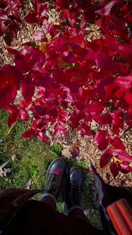 #canada_life🇨🇦 