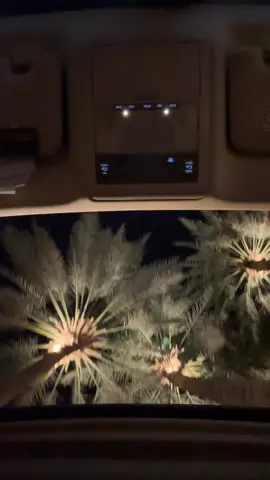 #Riadh #explore #fyp #foryou 