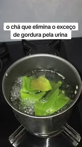 pegue a receita completa no link do meu perfil é grátis  #secabarriga #emagrecimento #emagrecer #perderbarriga 