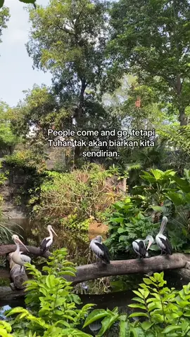 #fypviralシviral #katakatamotivasi 