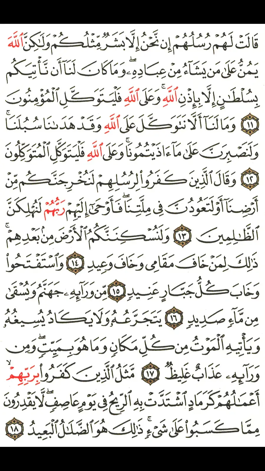 #القران_الكريم #رسول_الله_صلى_الله_عليه_وسلم #القران_الكريم_راحه_نفسية 