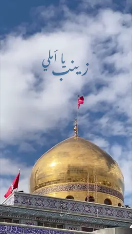 #السيدة_زينب#ولادة_السيدة_زينب #يازينب #يازينب_الحوراء #العتبة_الزينبية_المقدسة #الشام #ياحسين#ياعباس#ياعلي#مولد#باسم_الكربلائي 
