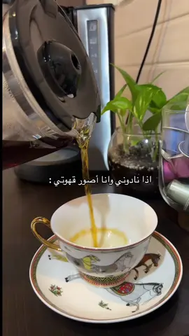 #explore #ترند_تيك_توك 