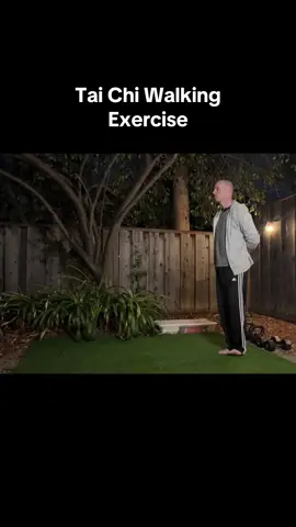 Tai Chi Walking for Balance & Stability #stabilitytraining #balancechallenge #taichi #Fitness 