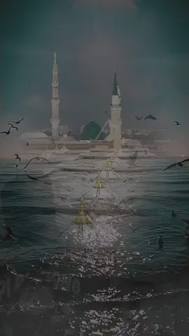 #CapCut ##يارب_فوضت_امري_اليك #صلي_علي_النبي #اللهم_صلي_على_نبينا_محمد #مدد_يارسول_الله✨🤍💚🤍🦅 #اللهم_صل_على_محمد_وآل_محمد #يارب_دعوتك_فأستجب_لي_دعائي #مصطفي_السلكاوي🔪 #اخوات_المعلم_والسلكاوي 