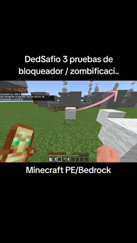 Probando el bloqueador y la zombificación en Minecraft #Addons #Minecraft #DedSafio 