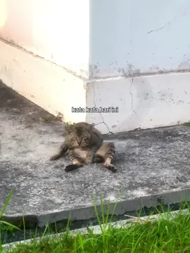 dipuji tidak terbang di transfer makasih bang 