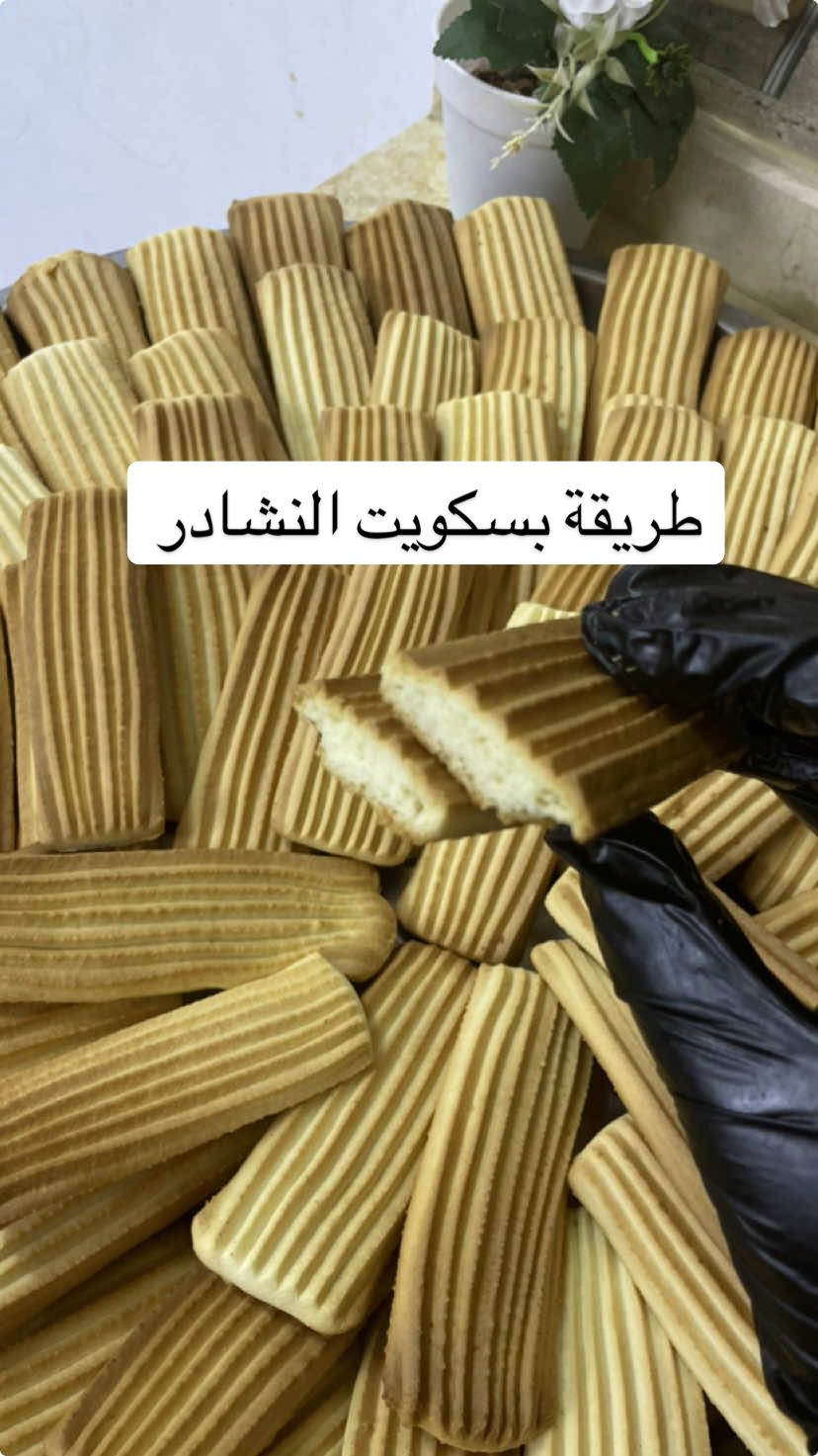 التعليقات م قدرت ارد ليكم كلكم 🤗 دي طريقتي والعلبه دي انا معتمداها للكيلو مظبوووطه 👌🥰  اي سؤال تاني اكتبو لي💁‍♀️ #بسكويت_النشادر  #بسكويت_نشادر_سوداني  #بسكويت_نشادر #ام_يقين_ورهف  #بدون_موسيقي  #no_music 