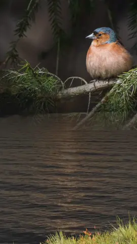 اذكار الصباح#صباح_الخير #اصبحنا_واصبح_الملك_لله__صباح_الخير #اذكار #fyp #foryou #foryoupage #صباحكم_معطر_بذكر_الله #تصاميم_ghym3377 