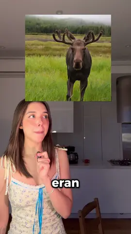 no defendí delfines en ningun momento  #curiosidades #bethcast #datoscuriosos #mitos 