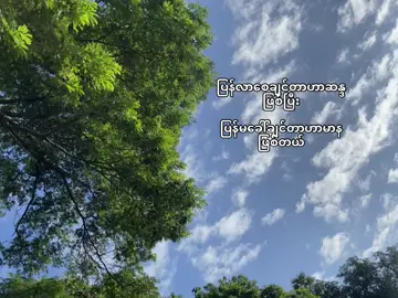 #fypシ #foru #tiktok #thankforwatching #thankb4youdo #foryoupage #fyppppppppppppppppppppppp 