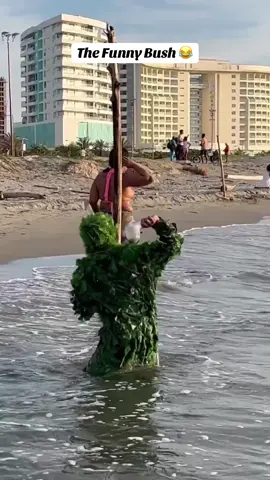 The Funny Bush 😂 #funnyvideo #funnyprank #funny #prank 