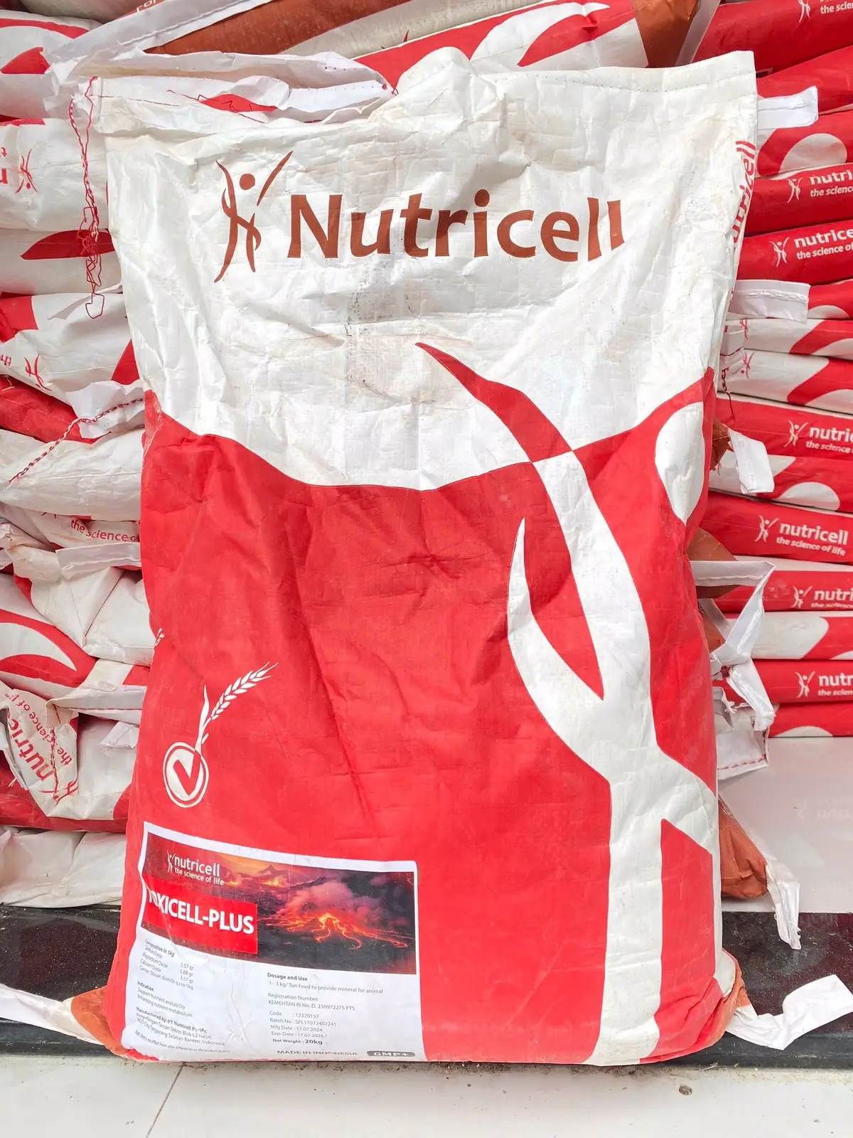 - Hấp thu khí độc - Giảm kim loại nặng - Phân huỷ tảo, chất lơ lửng, cân bằng môi trường nước, ổn định độ pH - Ổn định màu nước, hạn chế ván, làm sạch nước, tăng lượng oxy hoà tan trong nước - Hạn chế mầm bệnh, vi khuẩn có hại, vi khuẩn phát sáng trong nước #nuoitomcongnghecao #nuoitomthe #thuocthuysan #thuysan #nuoitom #xuhuong 