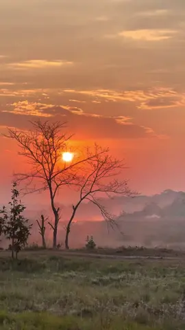Golden sunrise in Chitwan and a surprise visit from jackals running by. 🌅 #chitwan #chitwannepal #sunrise #morningvibes #morningview #NatureLovers 