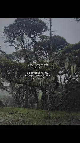 #tamtrang #xuhuong #mazcic #ddnxuhuong  