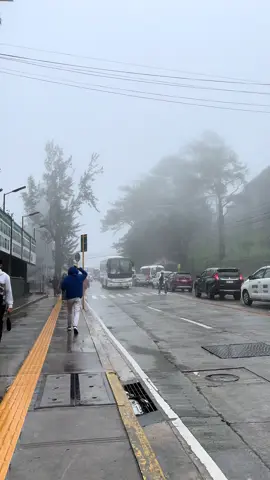 Lost in the mist, where everything feels like a dream. 🌫️ #baguio #fyp 
