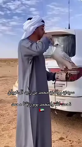 #الامارات_العربية_المتحده🇦🇪 #ابوظبي🇦🇪 #محمد_بن_زايد_رئيس_دولة_الإمارات #عيال_زايد #explore #اكسبلور_العالم #أبوظبي_الامارات🇦🇪 #فخر_العرب #زعيم_الشرق_الاوسط 