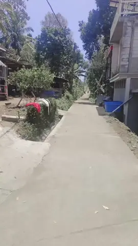 infone bolo Jak hieling ngawe motor RX-King #arnentorivaldi #rxking #rxkingindonesia #pecintarxking135cc 