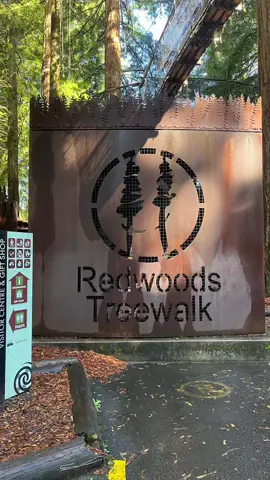 If you truly love nature, you will find beauty everywhere ❤️ . #newzealand #HealingJourney #fyp #beautifulview #rotorua #redwoodforest  . 📍Redwood Treewalk, Rotorua 