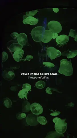 ถ้าหาก #อังกฤษแปลไทย #เพลงเพราะ #สตอรี่ความรู้สึก #เศร้าลงสตอรี่ 