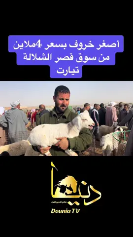 #سوق #سوق_الجمعة #المواشي #ماعز #الجلفة_المسيلة_بوسعادة_وتحيا48_ولاية 