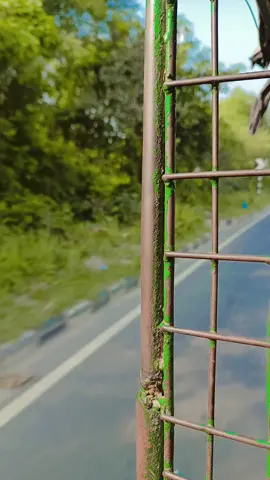 🥰🥰🥰🥰#viralvideo #fypシ゚viral #CapCut ##fypシ゚viral #@md tauhid chowdury polash 