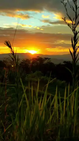 kata kata sedih menyentuh hati  #katskatasedihkecewa🥺 #katakatasedih #katakatasedihstorywa #katakatasad #viral #fyp #storytime 
