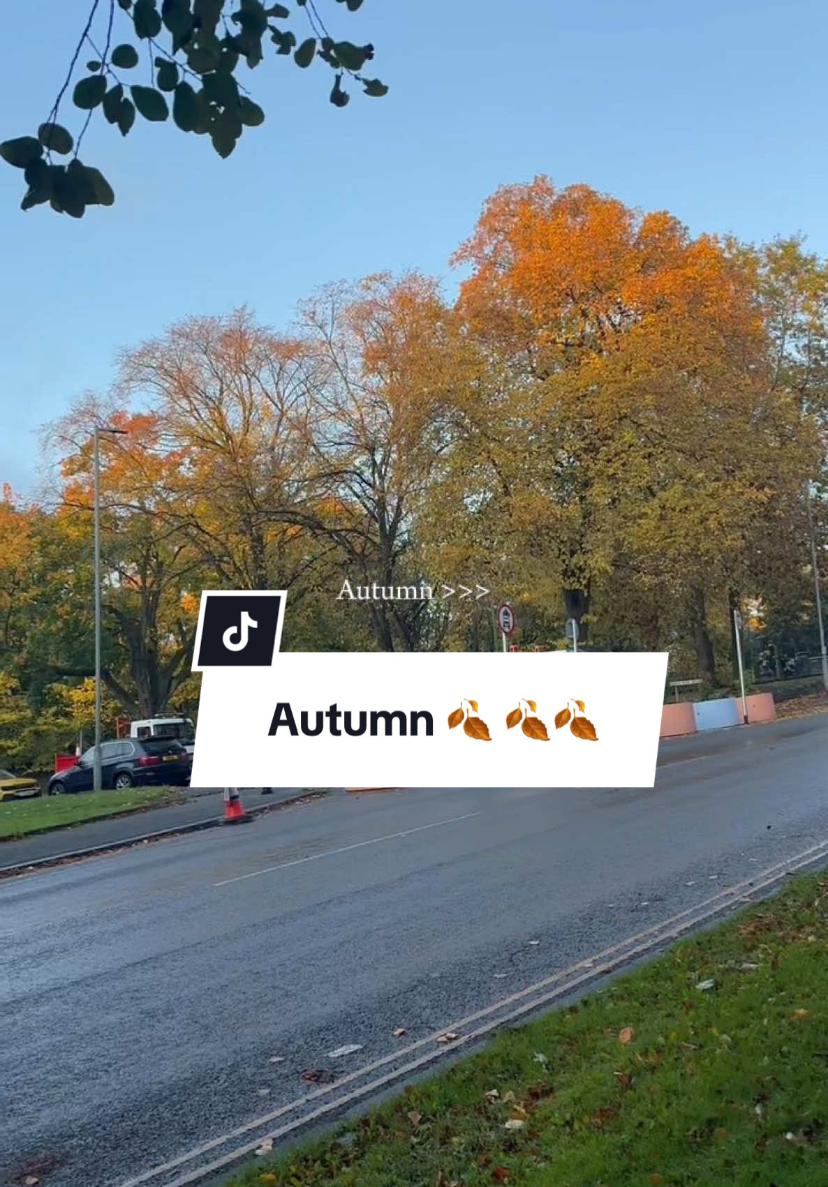 Captured these beautiful shots on my phone—autumn leaves are just stunning! 🍁🍁🍂🍂🍁🍁 • • • • • • #autumn #autumnvibes #fall #wintervibes #autumnaesthetic #autumnfalls #blowup? #viral_video #viralvideotiktok #contentcreator #london #unitedkingdom #england #pictureshoot #pictures 