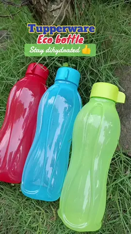Original Eco bottle #tupperware #ecobottletupperware  #thumbler 