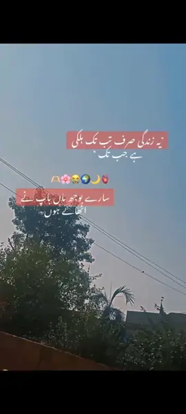 hum b maa bap k liye zinda reh gye #fypシ゚viral #trending #poetry #foryoupage #fyppppp #song #viralvideo 