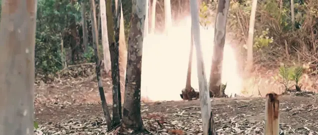 LỰC LƯỢNG CHỐNG KHỦNG BỐ VÀ CẢNH SÁT ĐẶC NHIỆM VIỆT NAM 🇻🇳 Là một đơn vị trẻ, mới được thành lập vào tháng 2/2022, Trung tâm Huấn luyện quốc gia về phòng, chống khủng bố thuộc Bộ Tư lệnh Cảnh sát cơ động được lãnh đạo Bộ Công an giao nhiệm vụ hết sức vinh dự nhưng cũng không kém phần nặng nề, đó là tổ chức huấn luyện, bồi dưỡng về công tác phòng, chống khủng bố; sẵn sàng ứng phó giải quyết các tình huống khủng bố, phá hoại, bạo loạn vũ trang, đối tượng hình sự đặc biệt nguy hiểm; tham gia cứu nạn, cứu hộ các tình huống cấp bách… #lucluongchongkhungbovietnam #canhsatdacnhiem #quansuvietnam #chinhtrivietnam #nhanuocvietnam #dangcongsanvietnam #vietnam #matthatvietnam #xh 