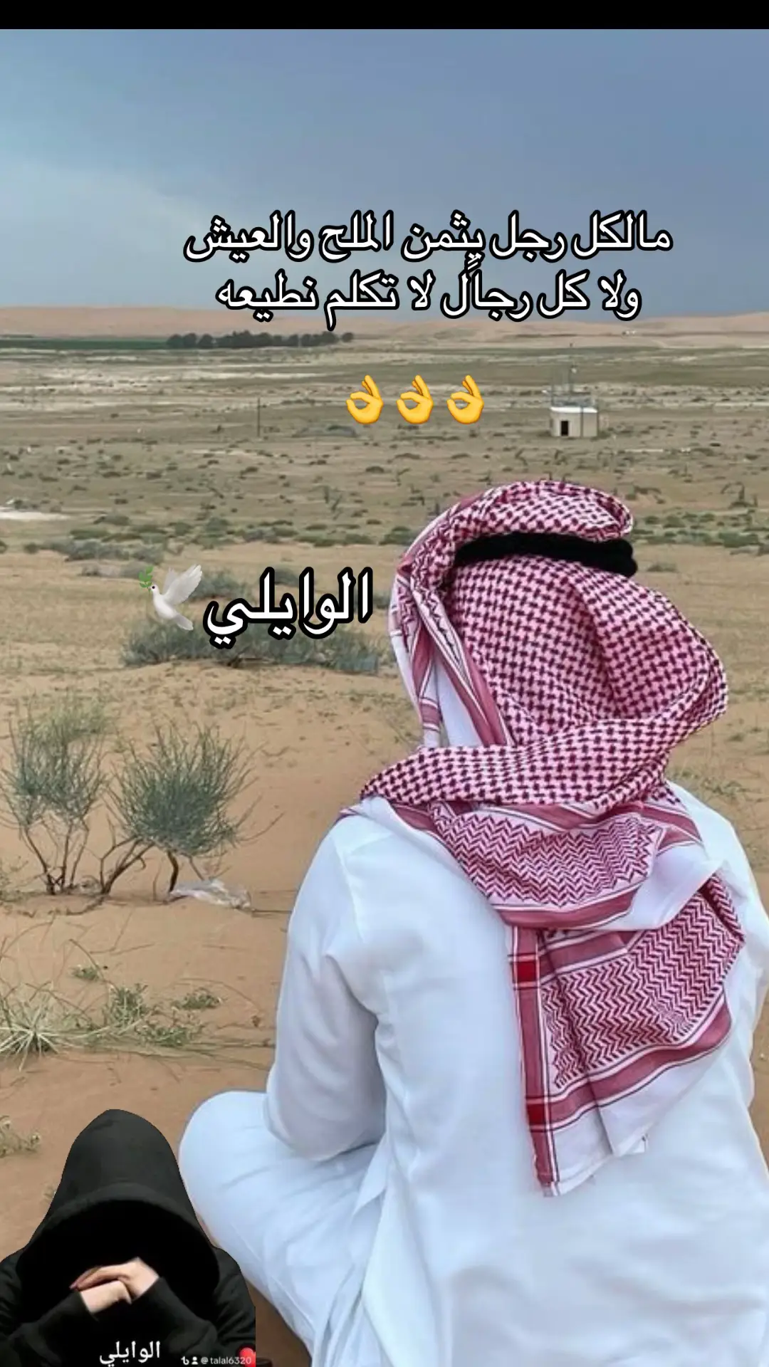 #🕊️🕊️🕊️🕊️🕊️🕊️🕊️🕊️🕊️🕊️🕊️🕊️ 