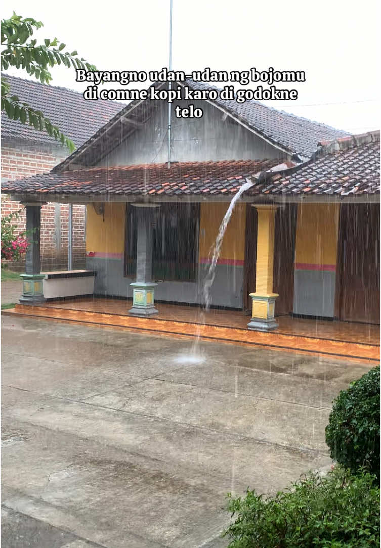 Bayangno sek e🤣.                               #storytime #storywa #fyp #masukberanda #xyzbca #katakata 