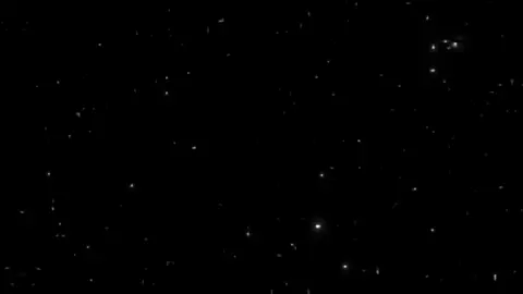 وانت ذايب بحبي !!! 🌷🤩#اكسبلور #اغاني_مسرعه💥 #اغاني_عراقيه #fyp 